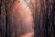 怀远股票配资是什么公司:正规配资公司官网-黄金白银联手创新高 新一轮涨势开启？